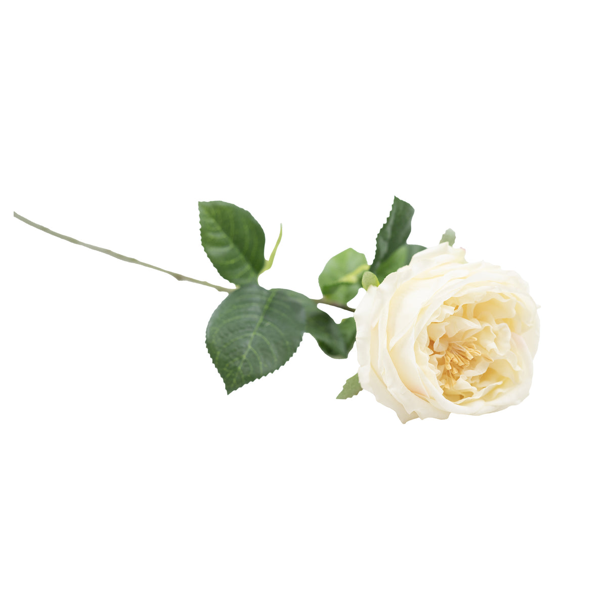 Cabbage Rose White Real Touch Silk Flower Stem - 72cm