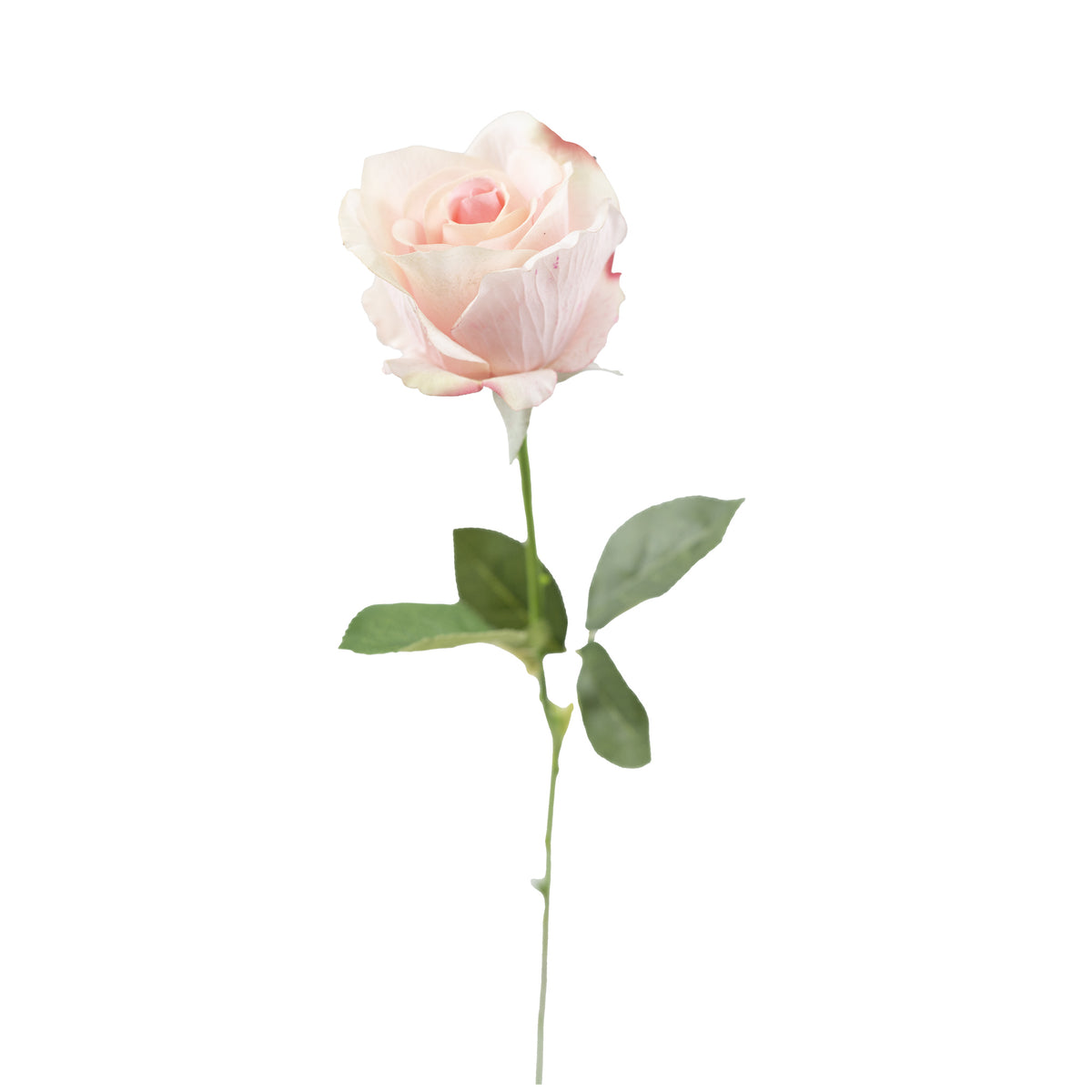 Flower Ropes Stem Rose 66cm Light Pink Silk Flower Stem - Plant Couture – Francisco Plant ...