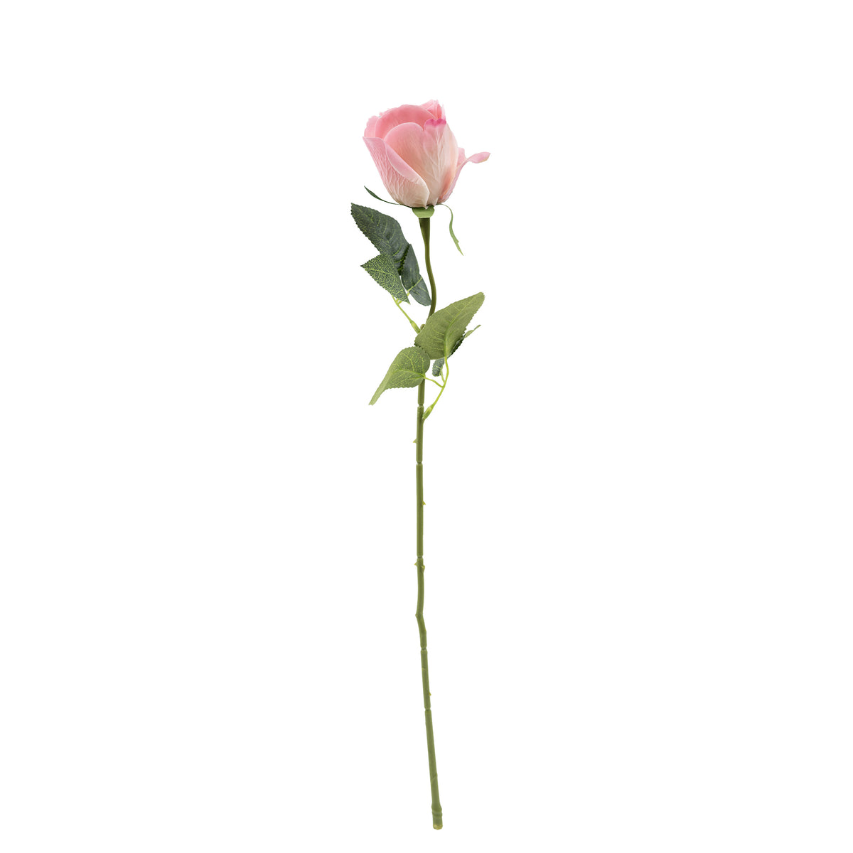 Flower Ropes Stem Rose Pink Blush Real Touch Silk Flower Stem - 50cm Plant Couture ...