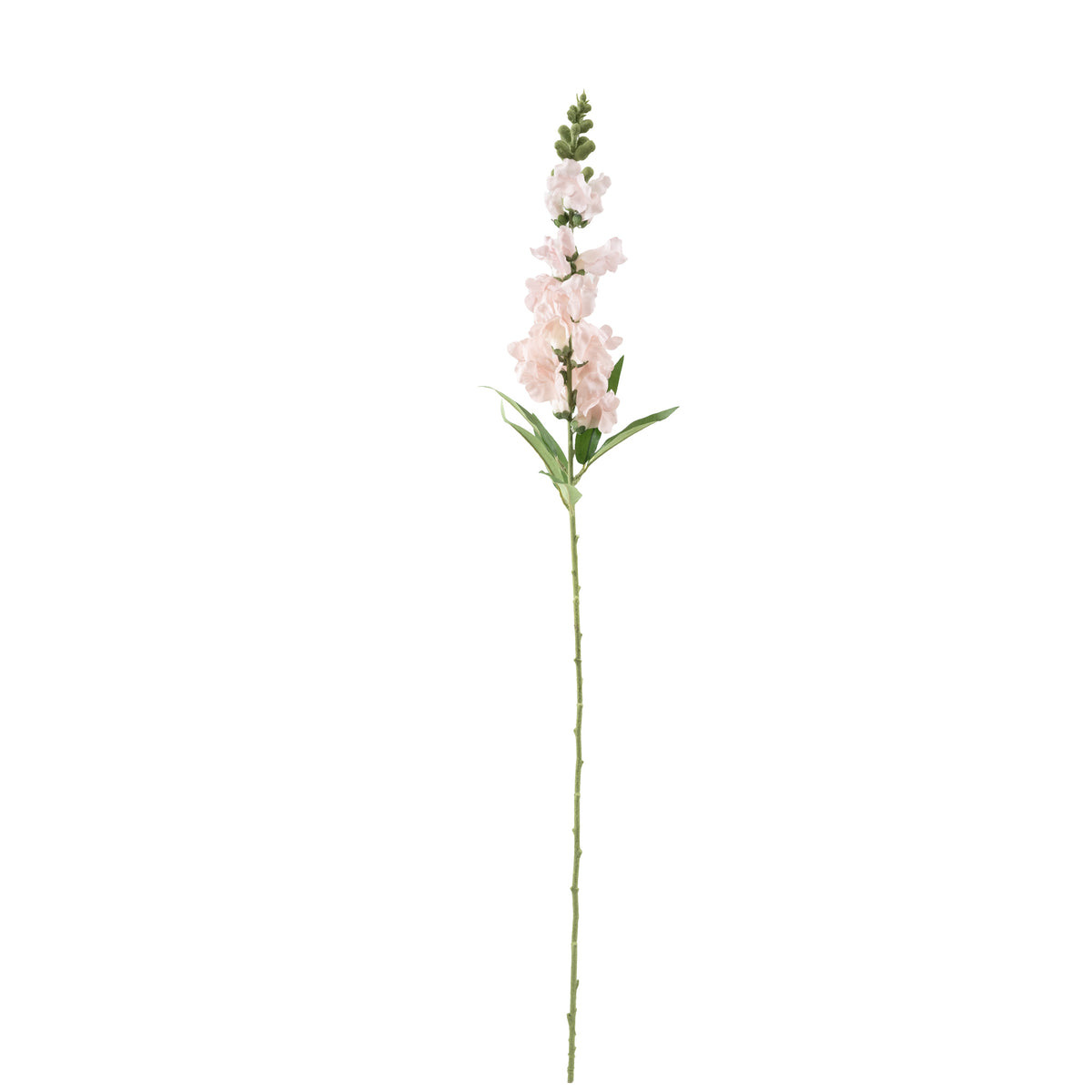 Snapdragon Light Pink Stem - 92cm