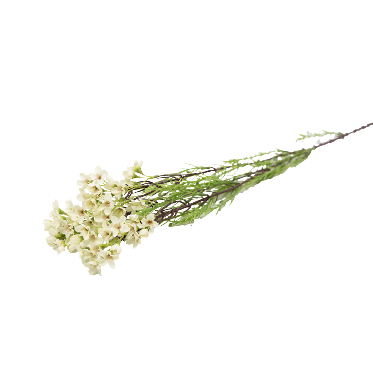 Wax Flower White - 80cm