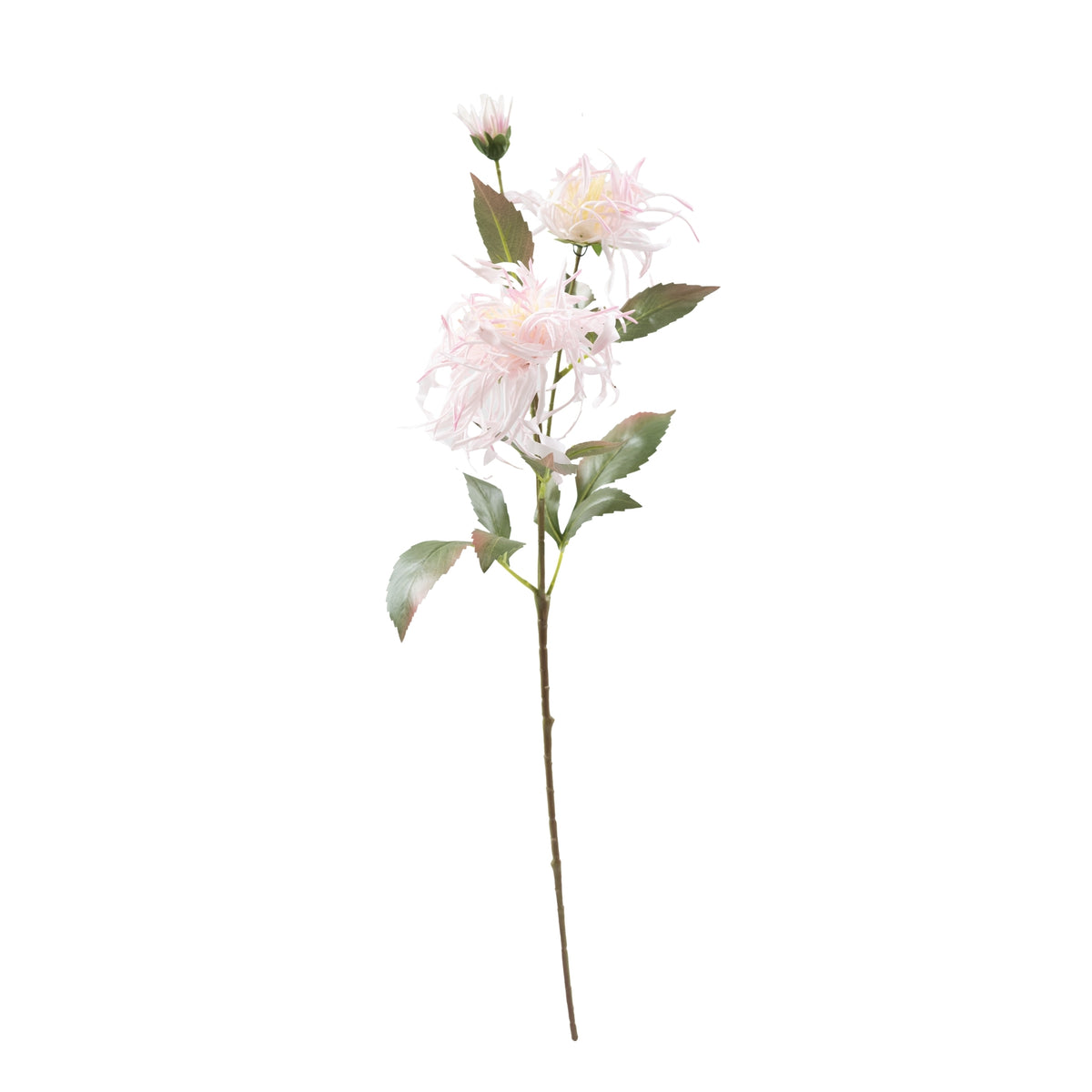 Spider Chrysanthamum Lilac Silk Flower Stem - 70cm
