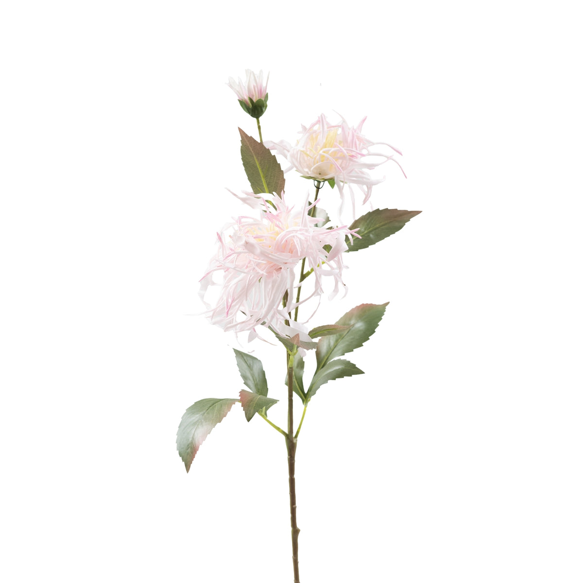 Spider Chrysanthamum Lilac Silk Flower Stem - 70cm