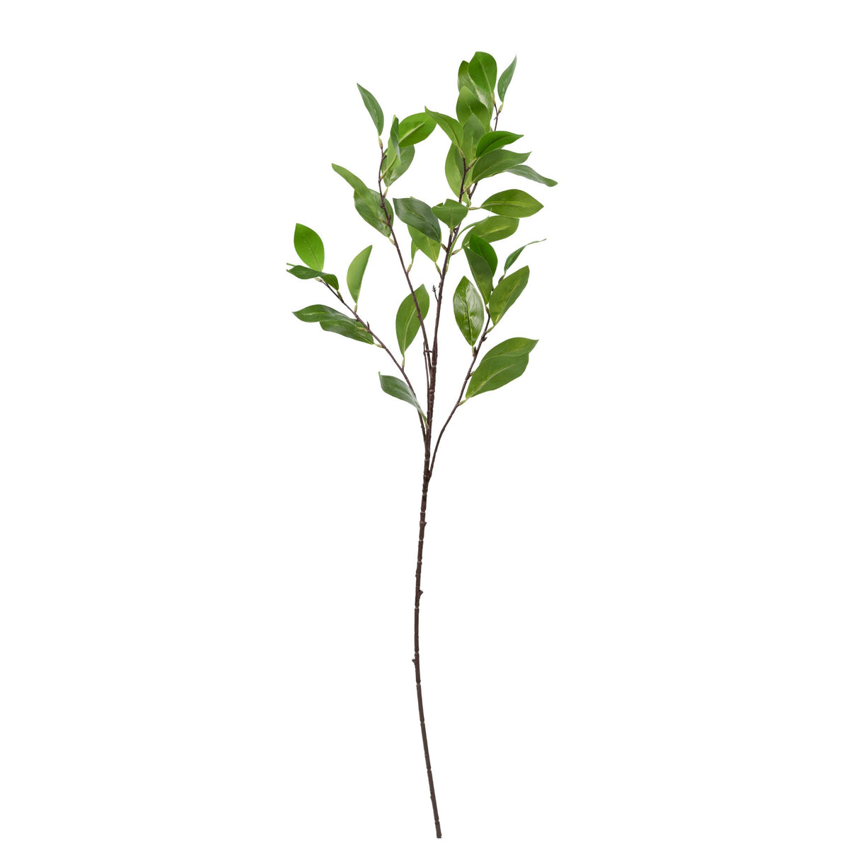 Tree Branch - 90cm