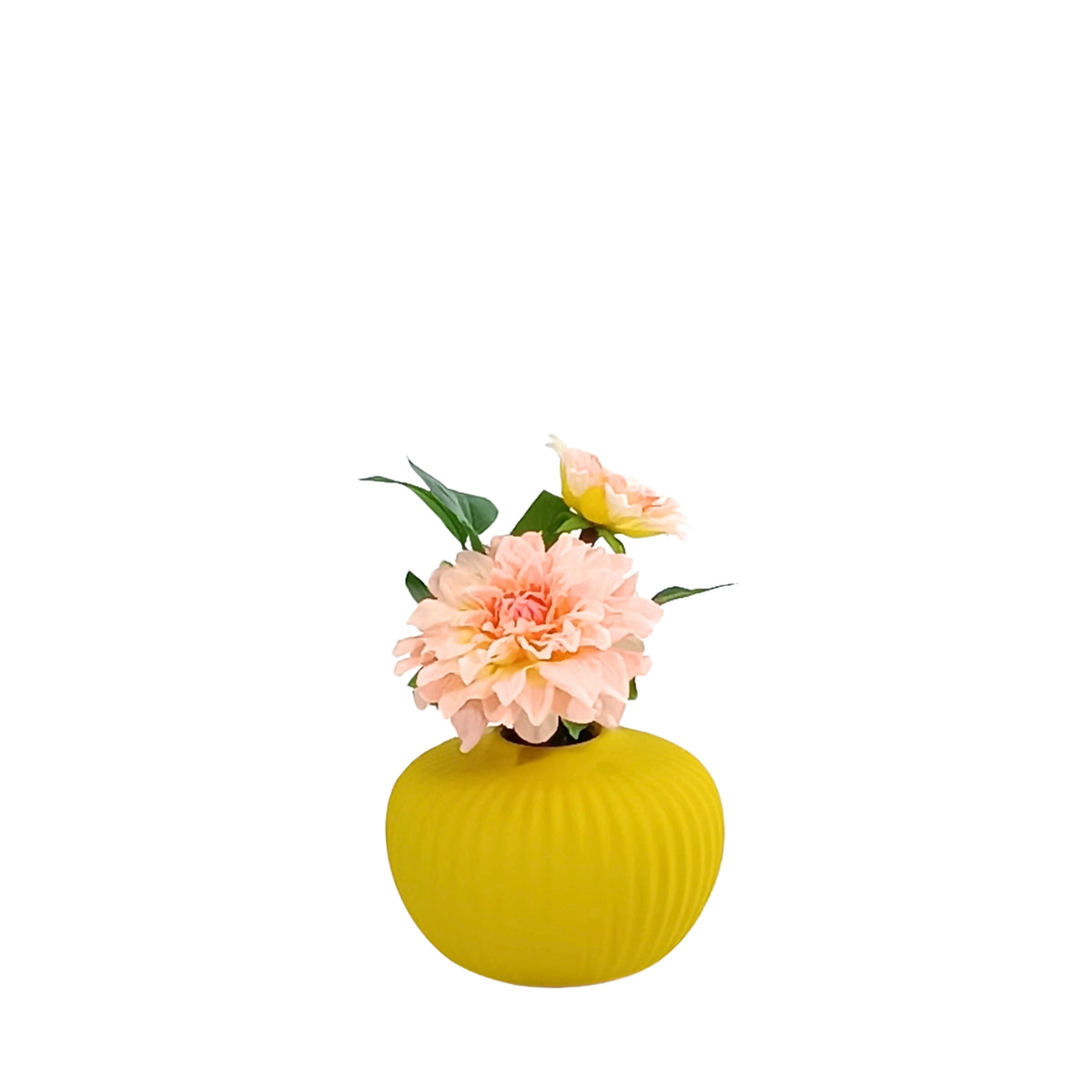 Dahlia Peach Pink Arrangement in Small Ceramic Vase