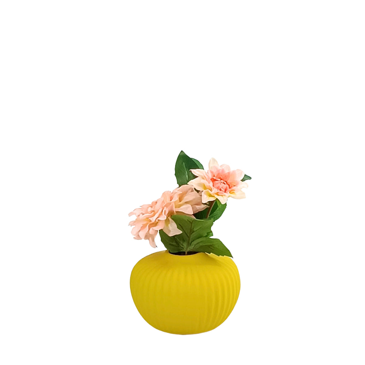 Dahlia Peach Pink Arrangement in Small Ceramic Vase