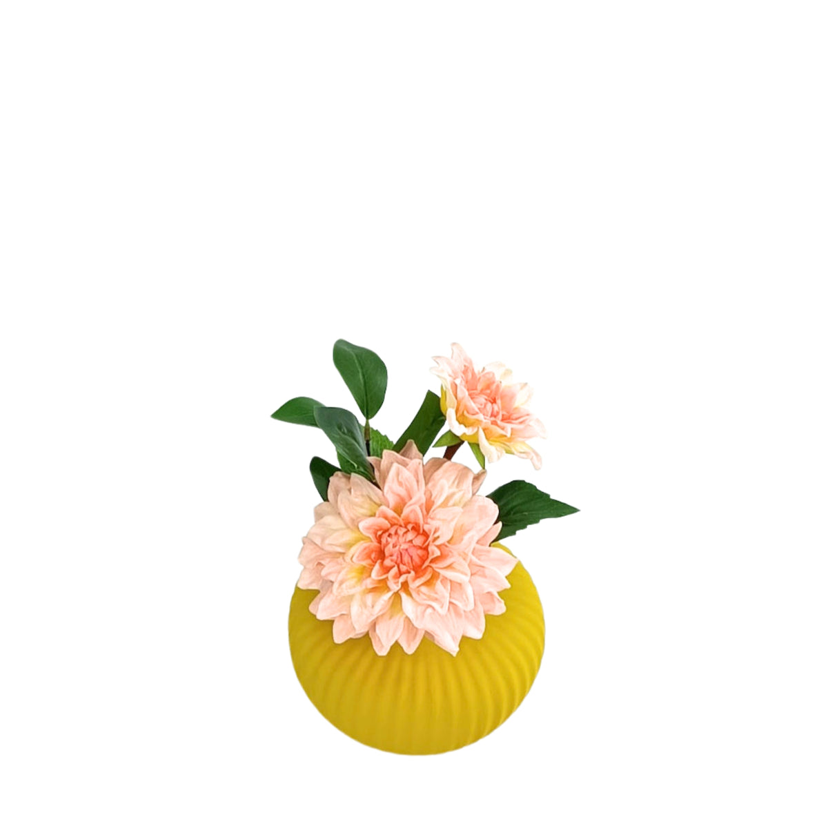 Dahlia Peach Pink Arrangement in Small Ceramic Vase