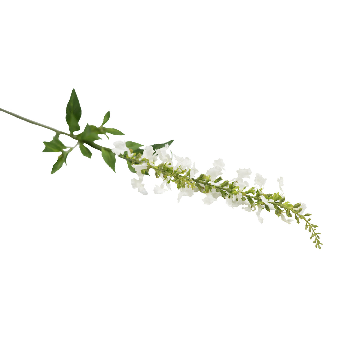 Oncidium White Silk Flower Stem - 75cm