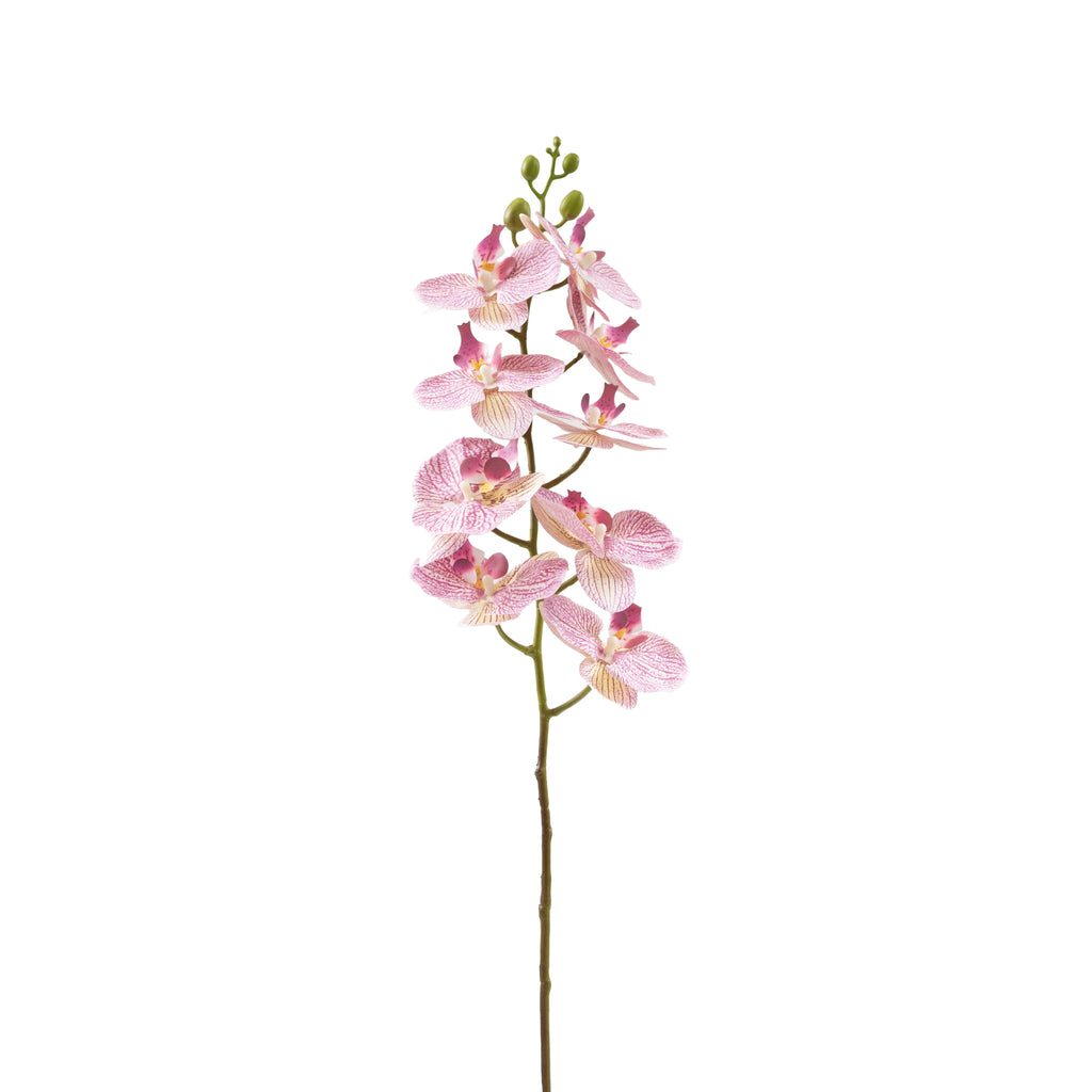 Phalaenopsis Orchid Pink White Stem 90cm - Silk Flower Stems