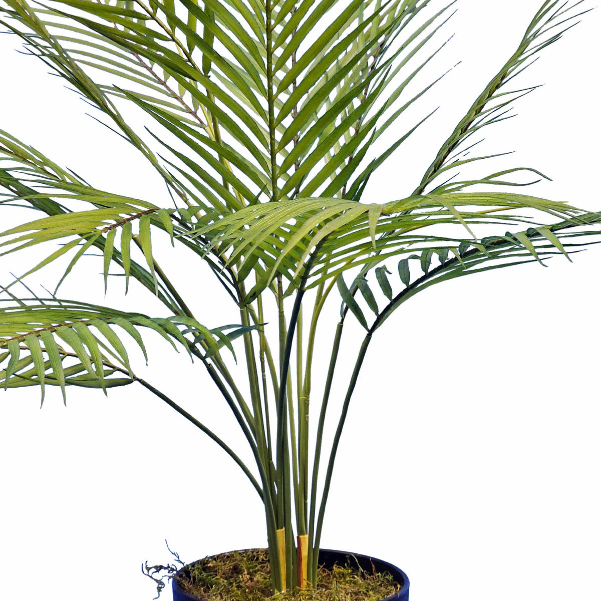 Potted Palm Leaves Bush - 72cm