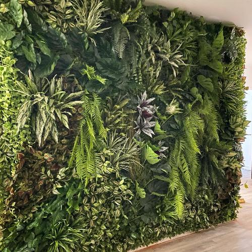 Green wall created by Plant Couture. Custom green walls created to your requirements. Contact us for a quotation.