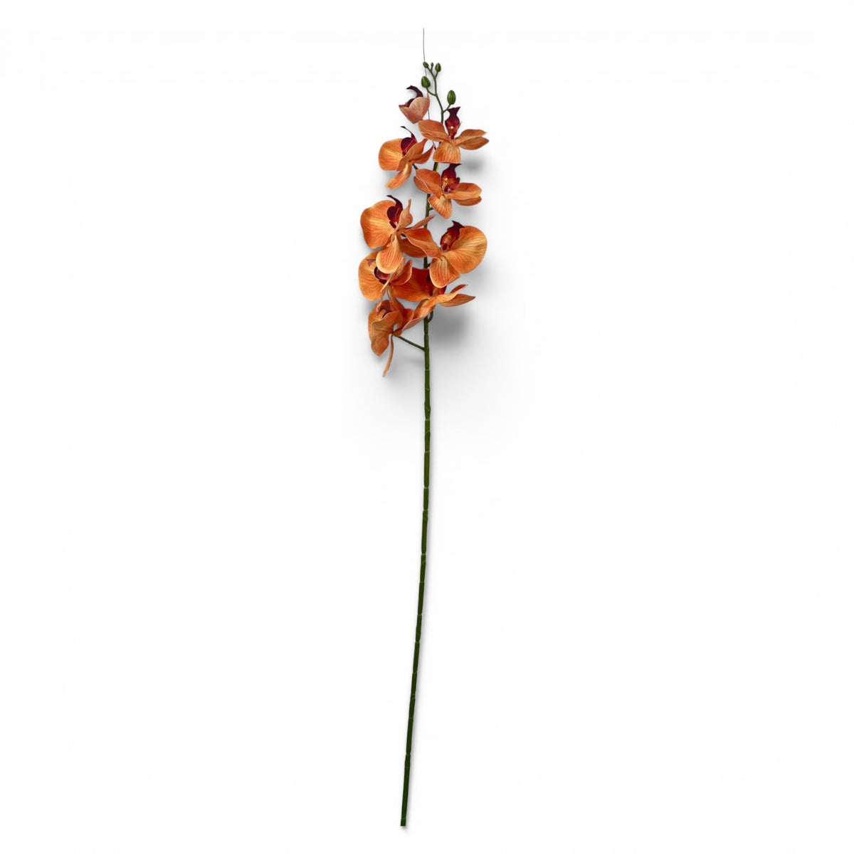 Orchid Phalaenopsis Orange 105cm