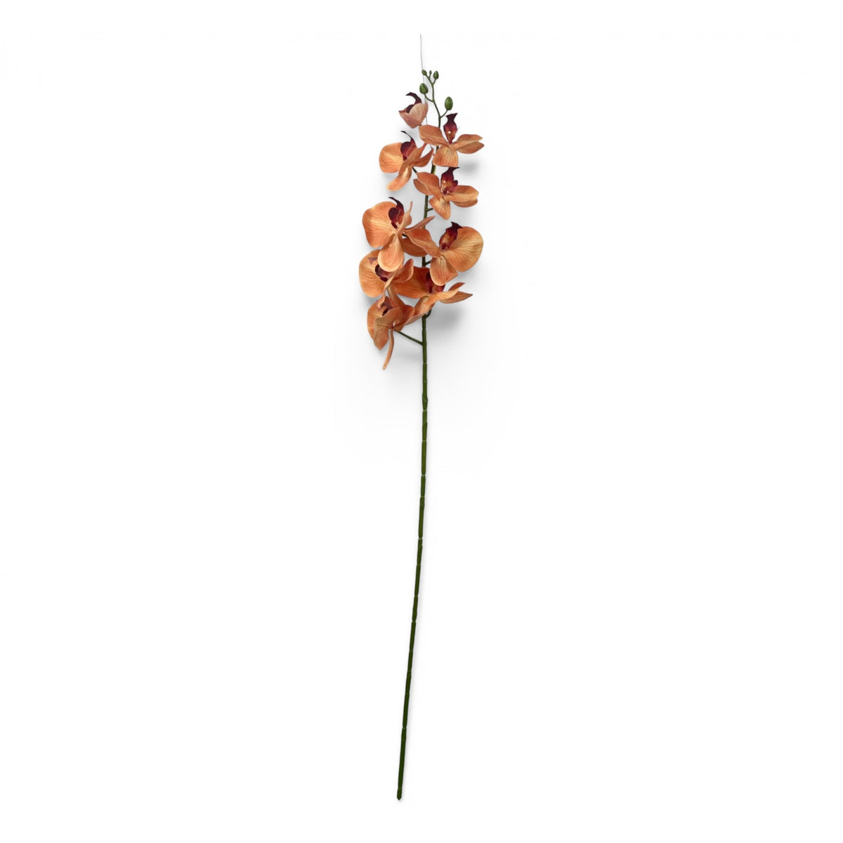 Orchid Phalaenopsis Orange 105cm