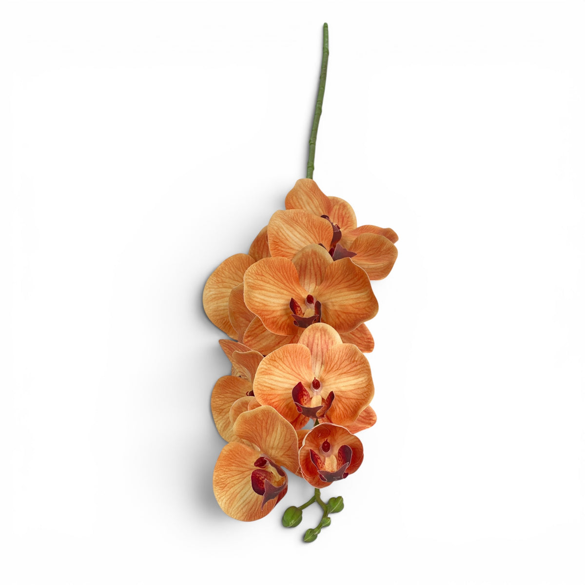 Orchid Phalaenopsis Orange 105cm
