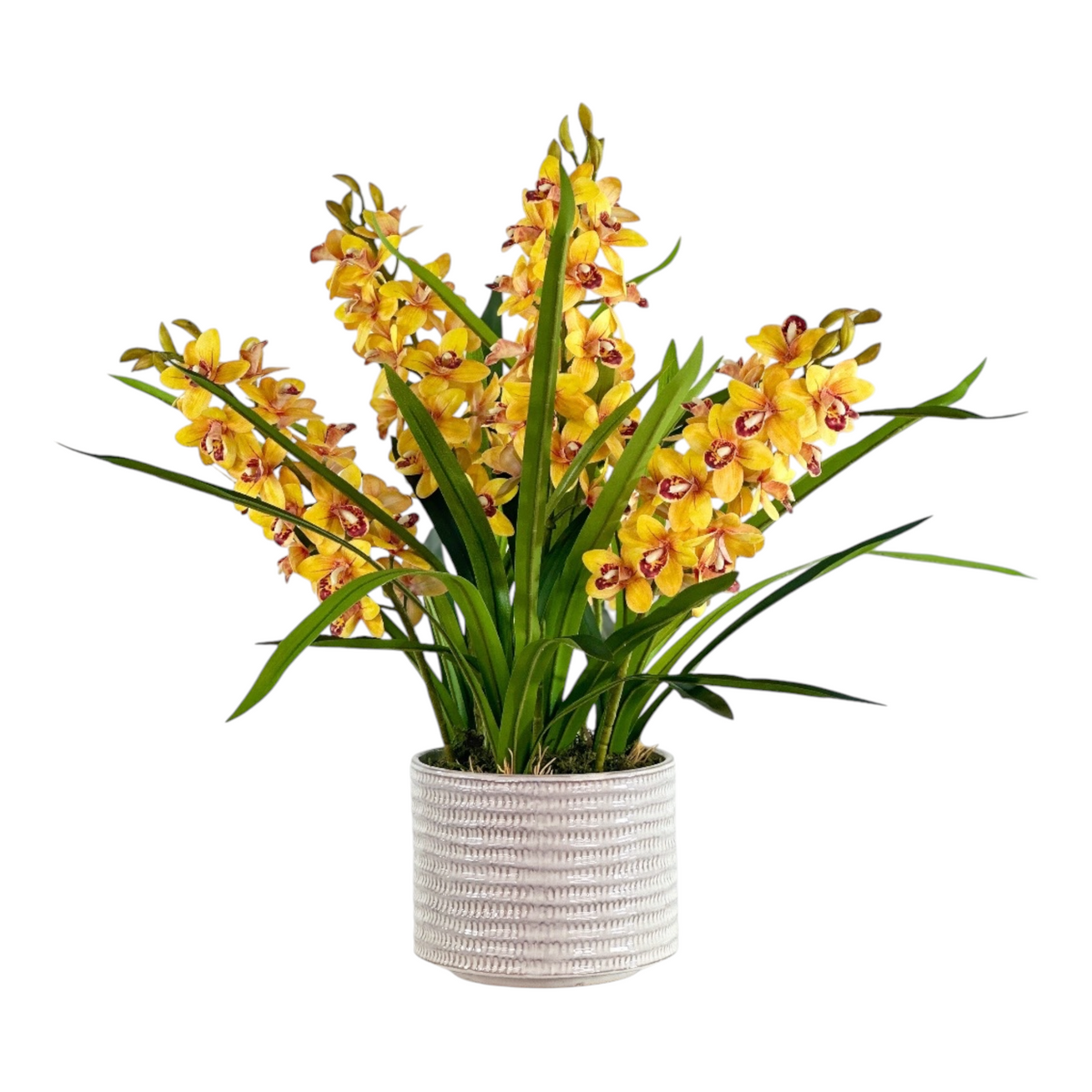 Orchid Cymbidium Yellow in Beige Ceramic