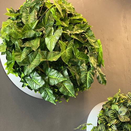 Artificial foliage planted into metal wall rings to add a natural feature to an open space. Available from Plant Couture. Shop online for artificial plants. www.plantcouture.co.za