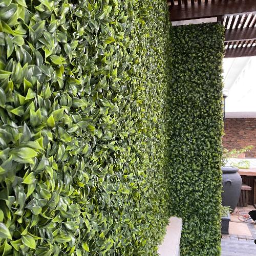 Green wall created by Plant Couture. Custom green walls created to your requirements. Contact us for a quotation.