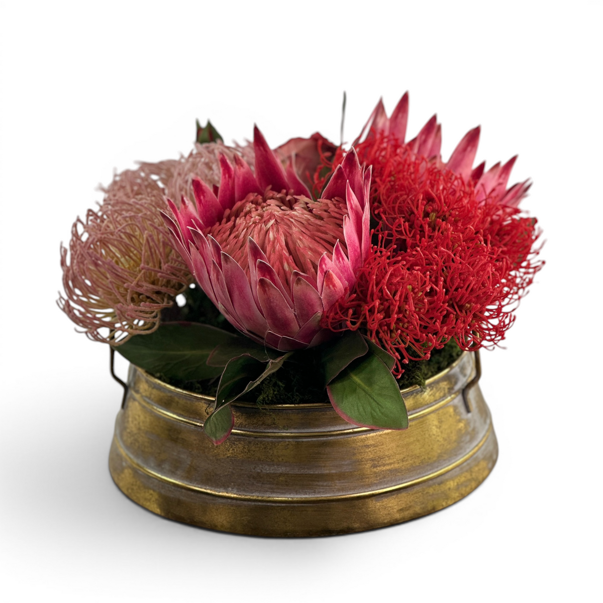 Proteas Roses Pincushion Mix Arrangement in Gold Tin
