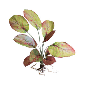 Faux Maranta plant with deep red mottled in green leaves 60cm high