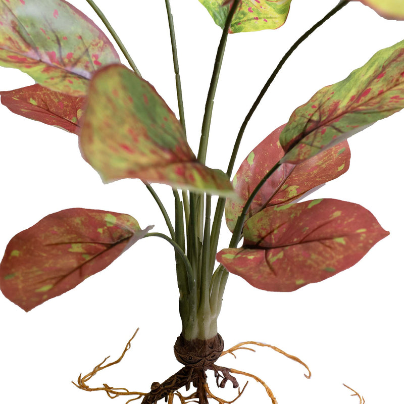 Faux Maranta plant with deep red mottled in green leaves 60cm high Close up