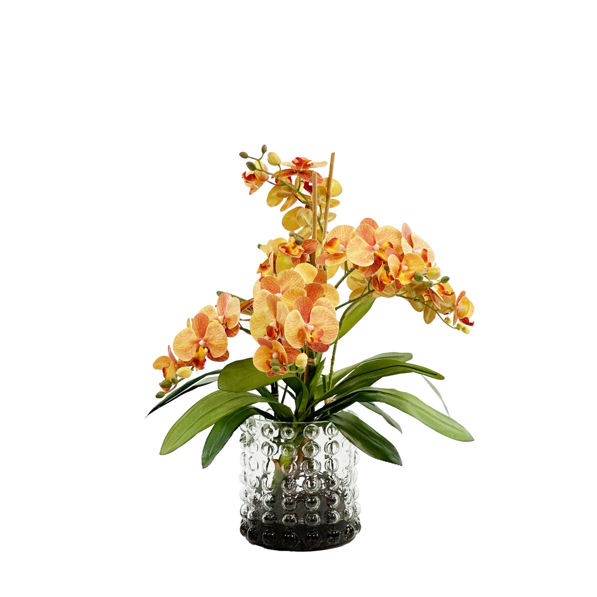 Orange orchids in glass bubble vase large from Plant Couture