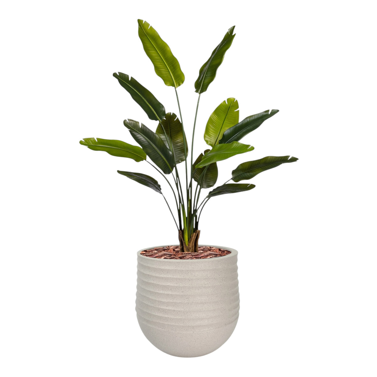 Mariella Round L 53x49 Beige with Strelitzia 160cm