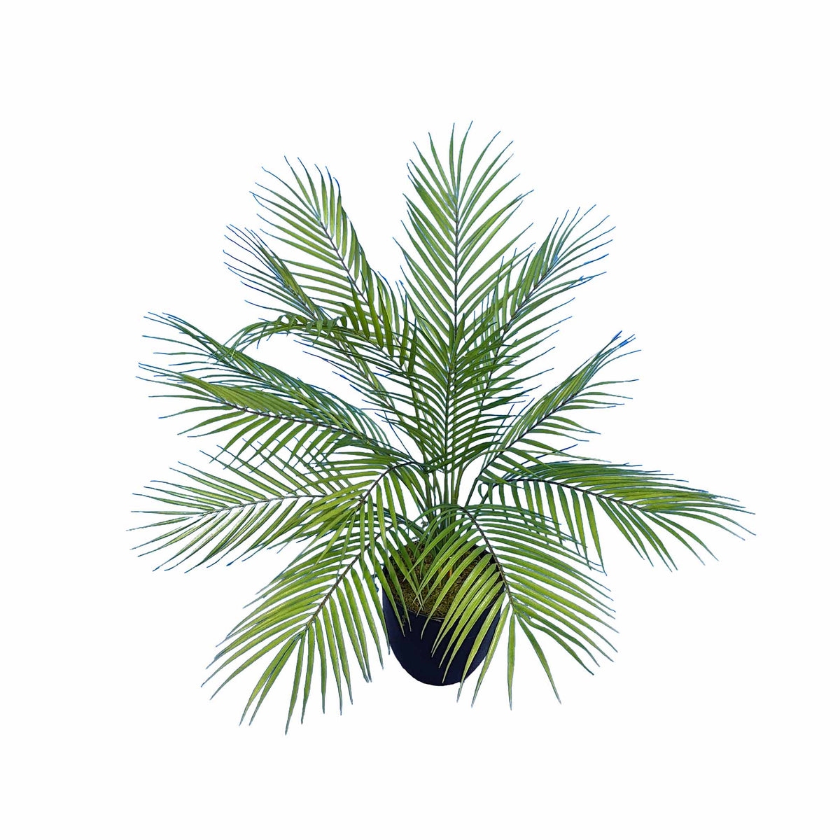 Potted Palm Leaves Bush - 72cm