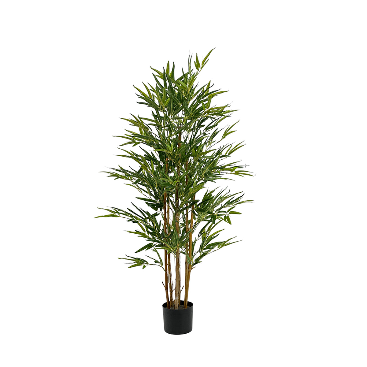 Potted faux Bmboo plant on a white background