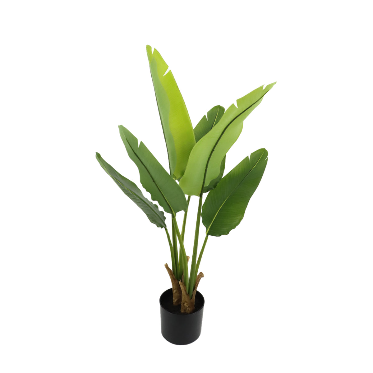 Potted faux Strelitzia plant 90cm with large green leaves on a white background