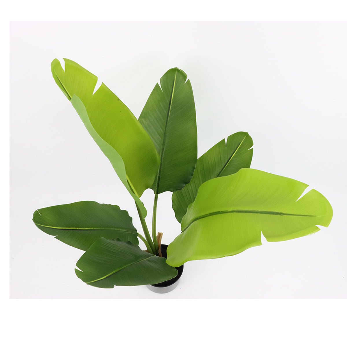 Artificial banana plant with large green leaves on a white background