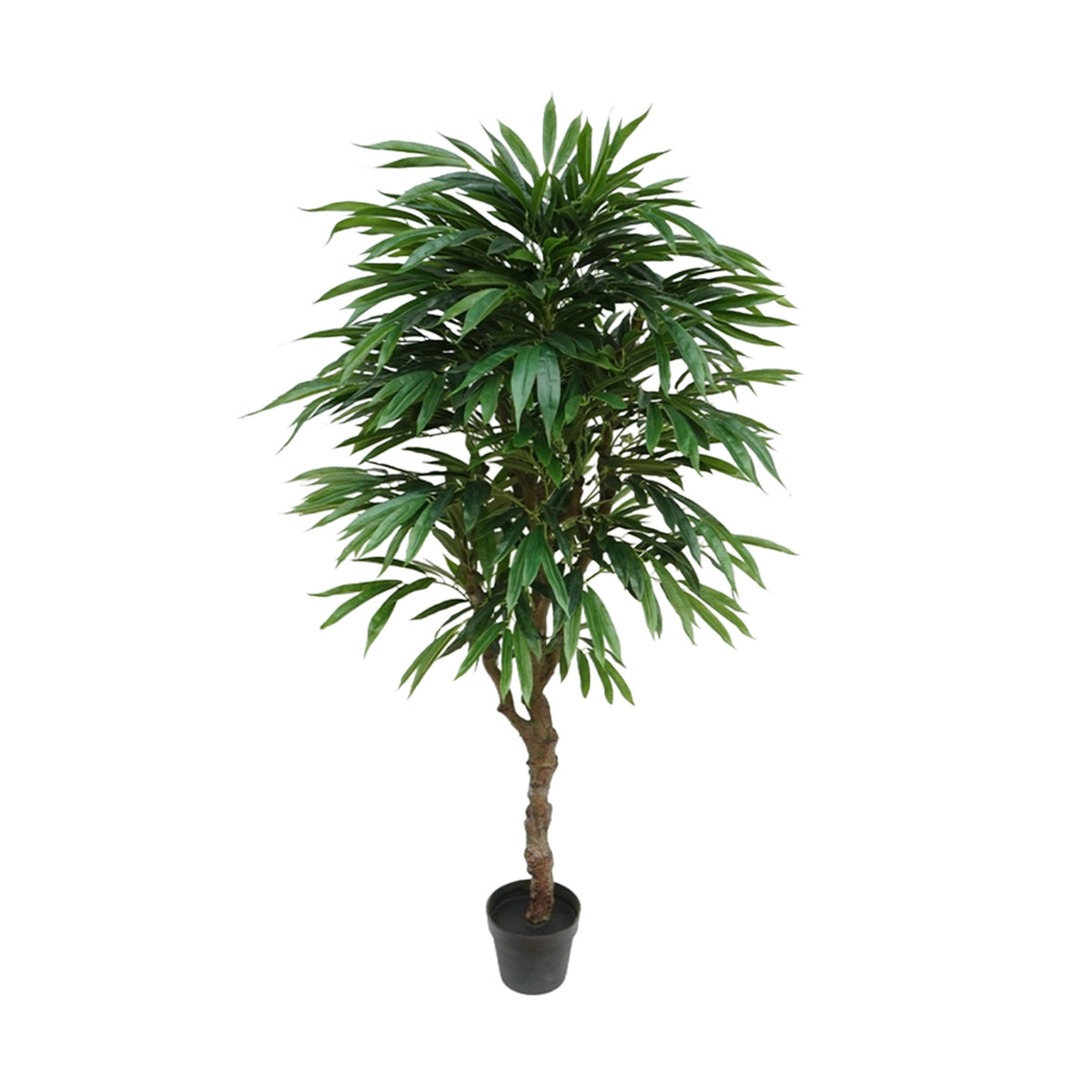 Potted faux Eucalyptus tree with green leaves on a white background