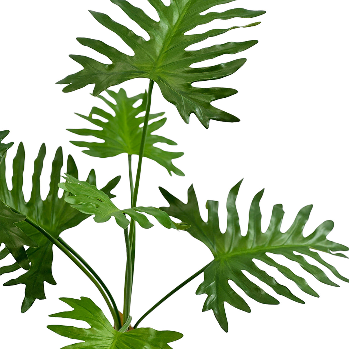 Close up of Faux Philodendron Bush 70cm