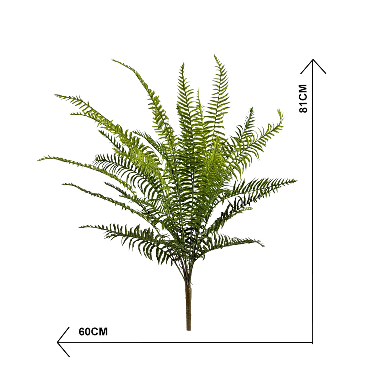 Filler Fern Bush 81cm