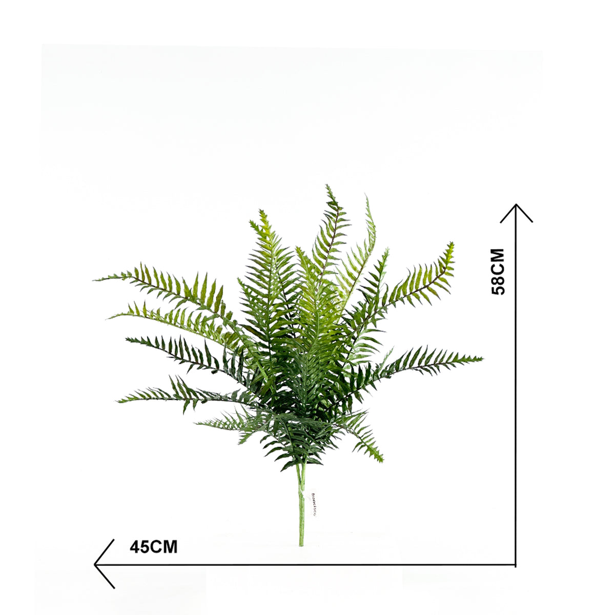 Filler Fern Bush 58cm