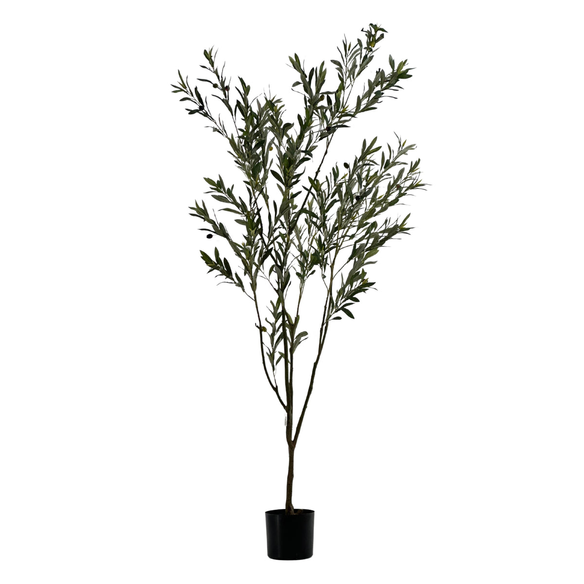 Full view of potted Olive Tree with Fruit - 183cm. Artificial trees available from www.plantcouture.co.za