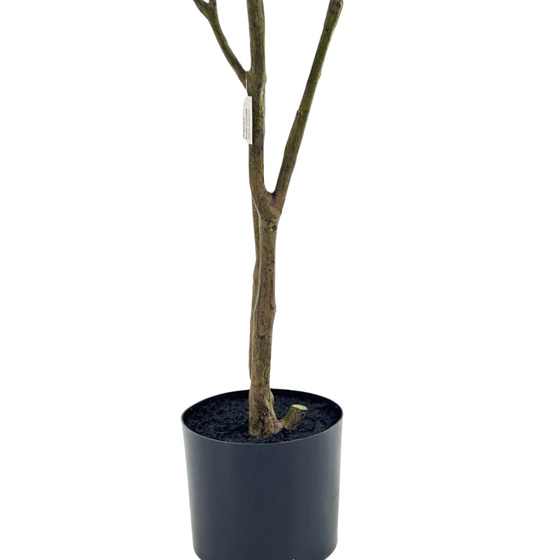 Close up view of trunk of olive tree in a pot. Olive Tree with Fruit - 183cm. Artificial trees available from www.plantcouture.co.za