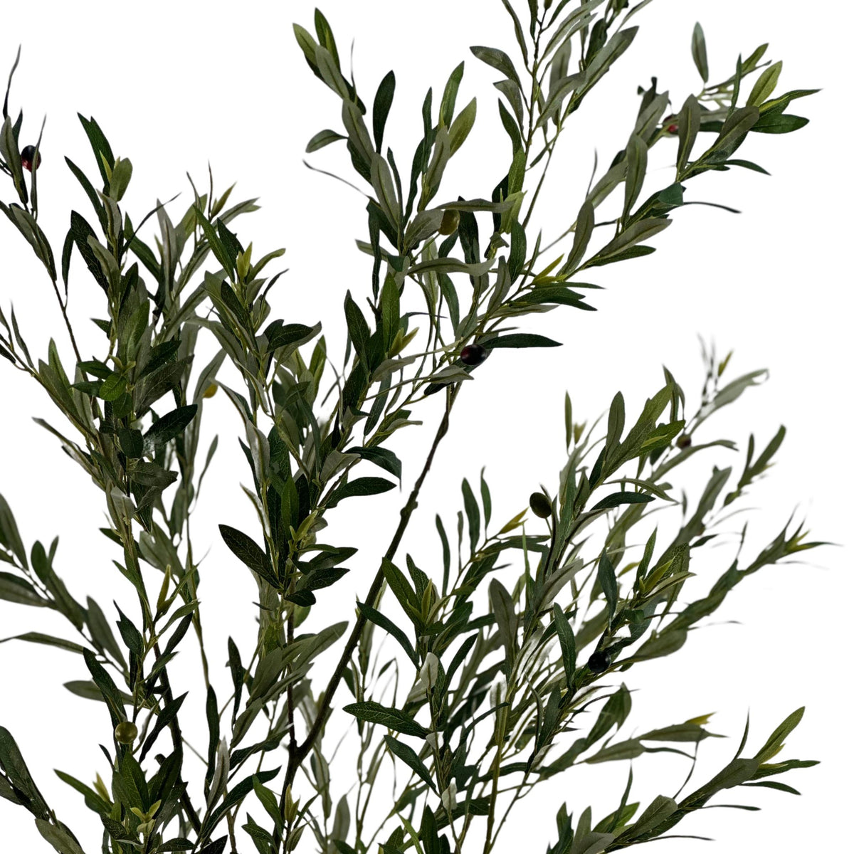Close up view of the branches of potted Olive Tree with Fruit - 183cm. Artificial trees available from www.plantcouture.co.za