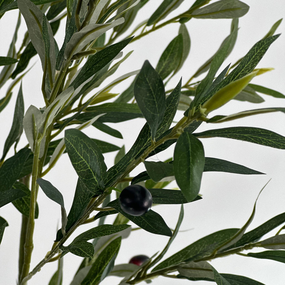 Close up view of the branches of potted Olive Tree with Fruit - 183cm. Artificial trees available from www.plantcouture.co.za