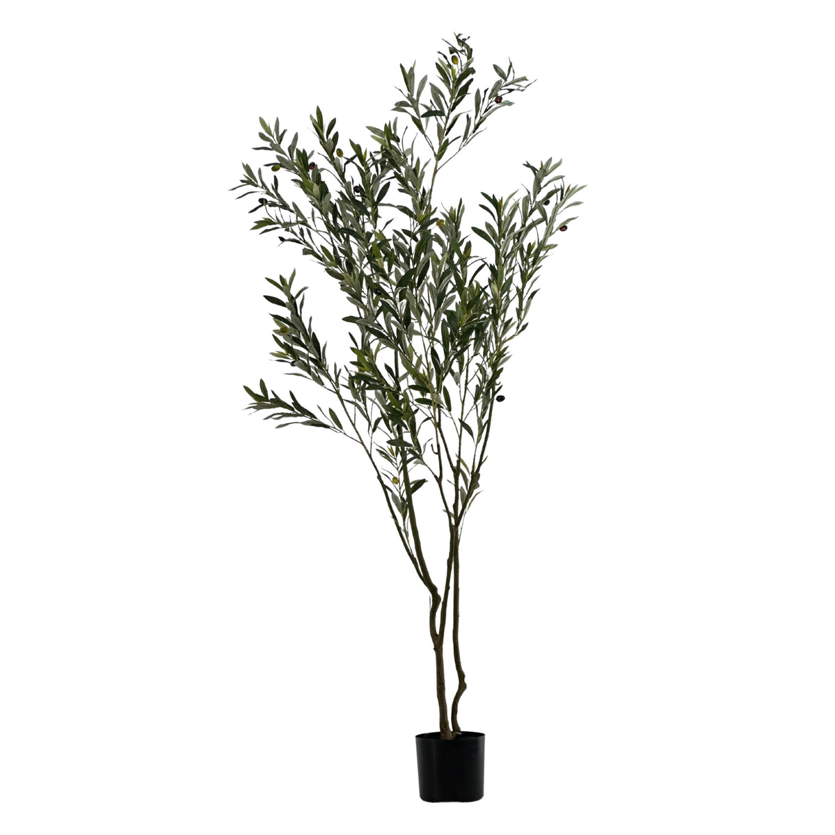 Full view of potted Olive Tree with Fruit - 183cm. Artificial trees available from www.plantcouture.co.za