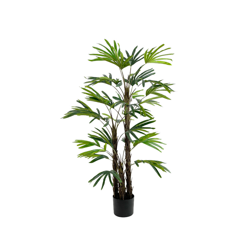 Potted artificial Rhapis palm plant on a white background