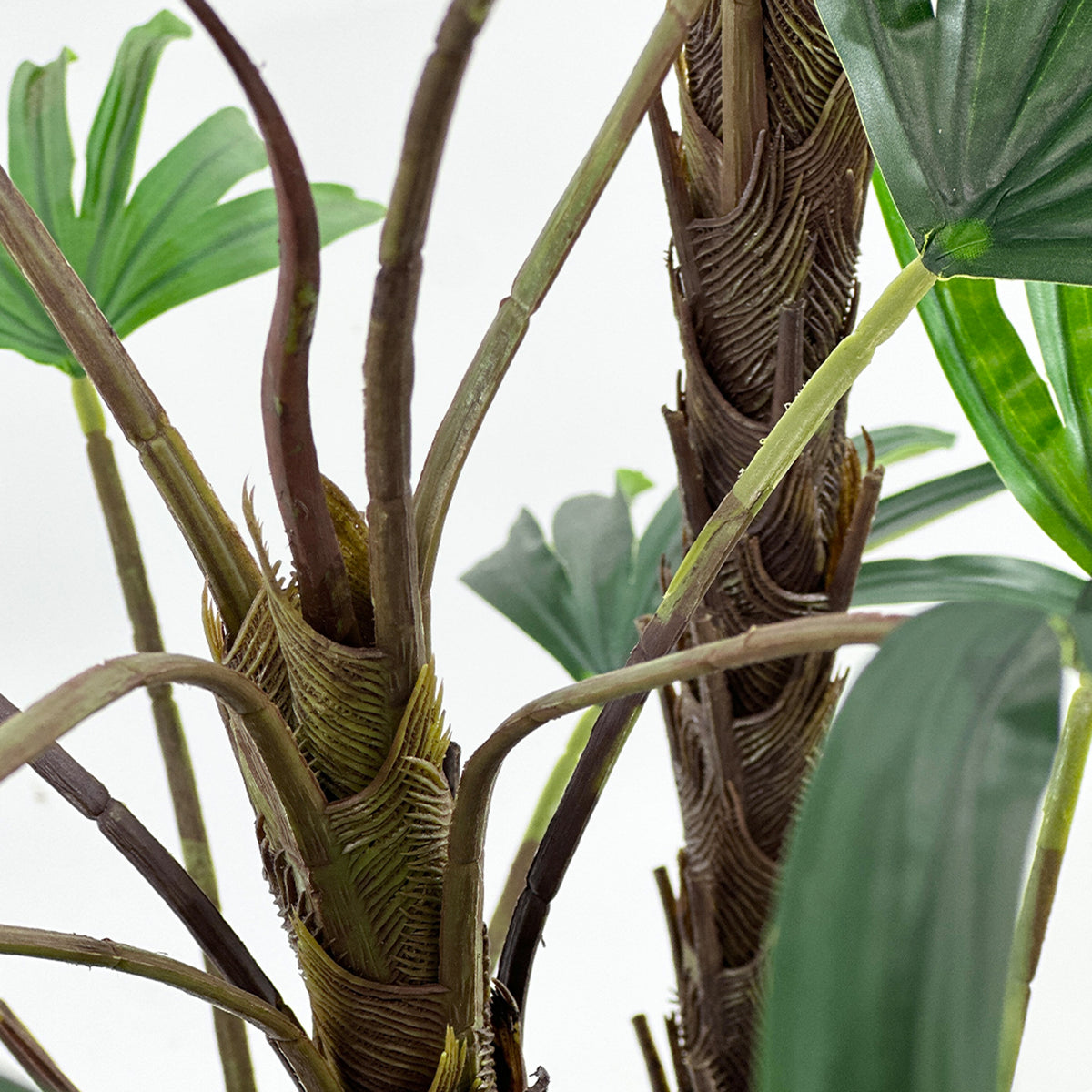 Close-up of a faux Rhapis plant with green leaves and brown stems on a white background
