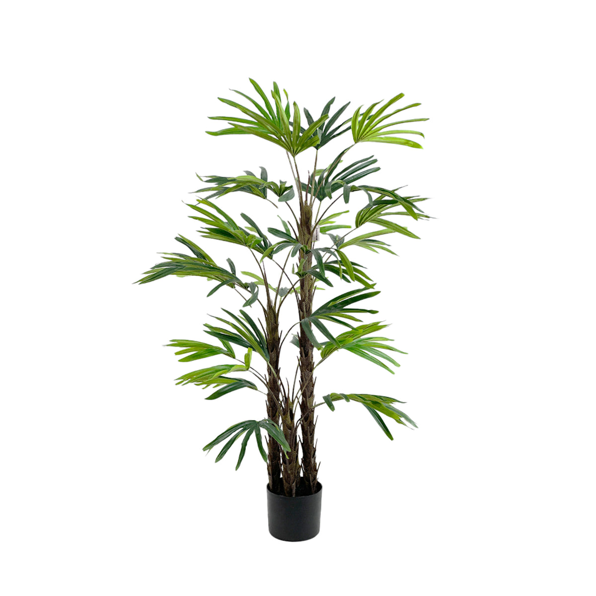 Potted artificial Rhapis palm plant on a white background