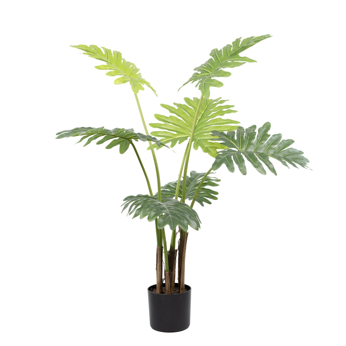 Philodendron - 120cm