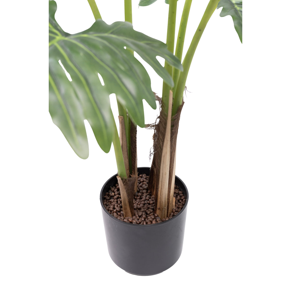 Philodendron - 120cm