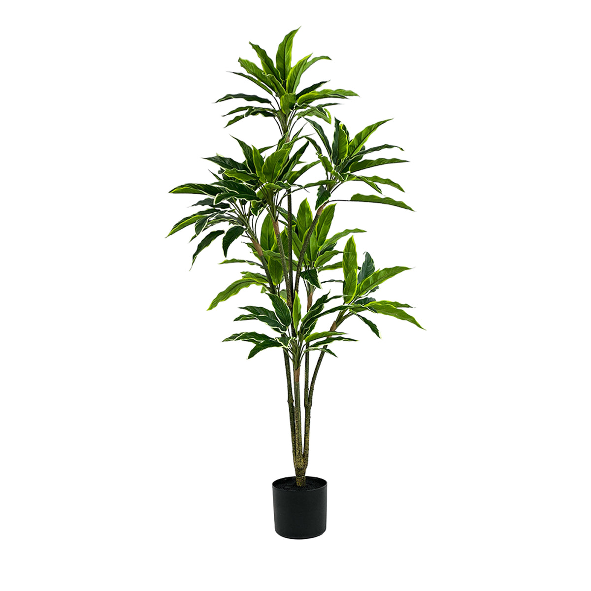 Potted faux Rhodea plant with green variegated leaves on a white background