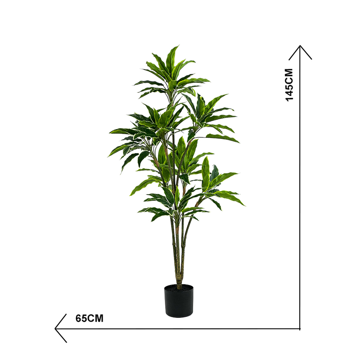 Potted faux Rhodea plant with dimensions indicated on a white background