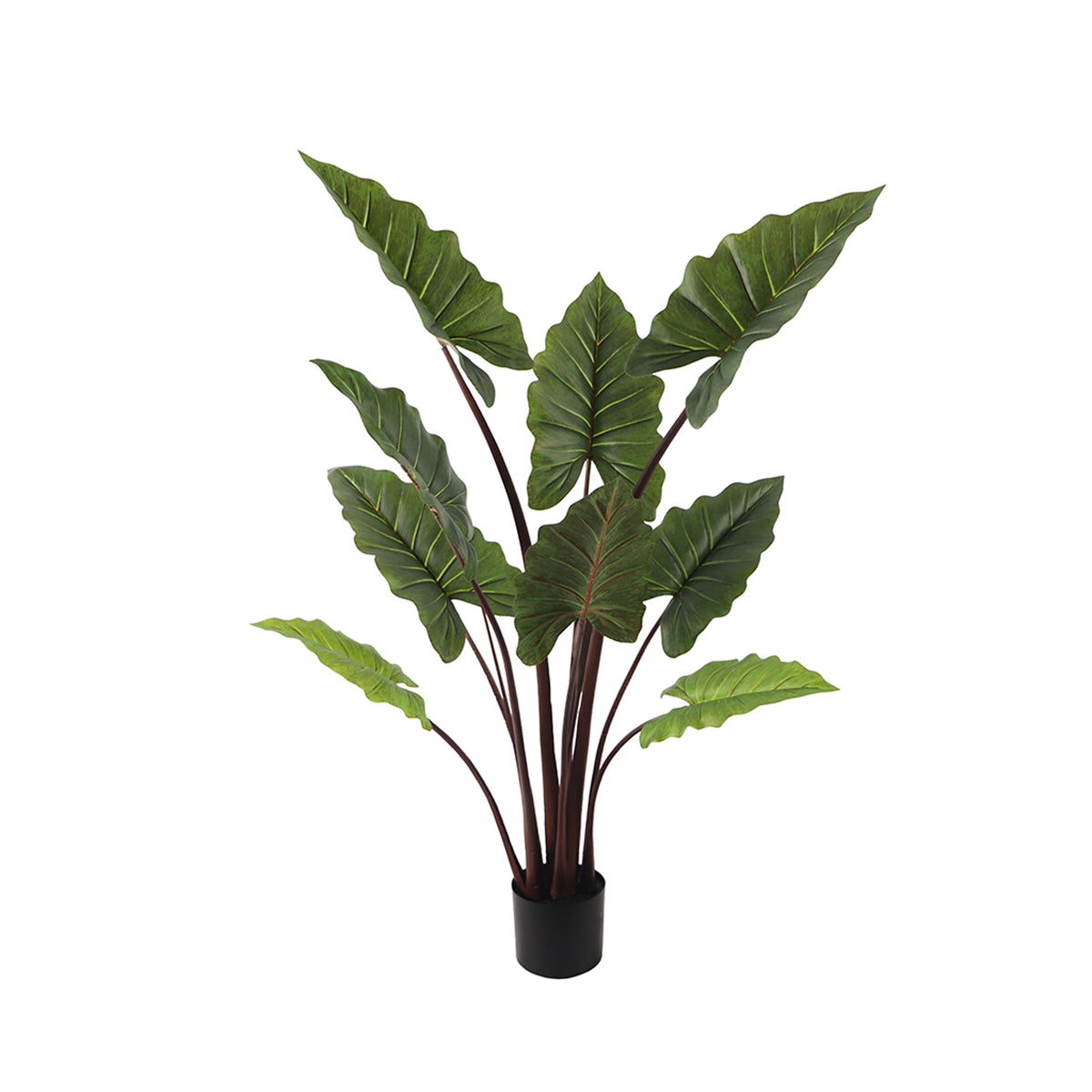 Artificial potted Elephant Ear plant with large green leaves on a white background
