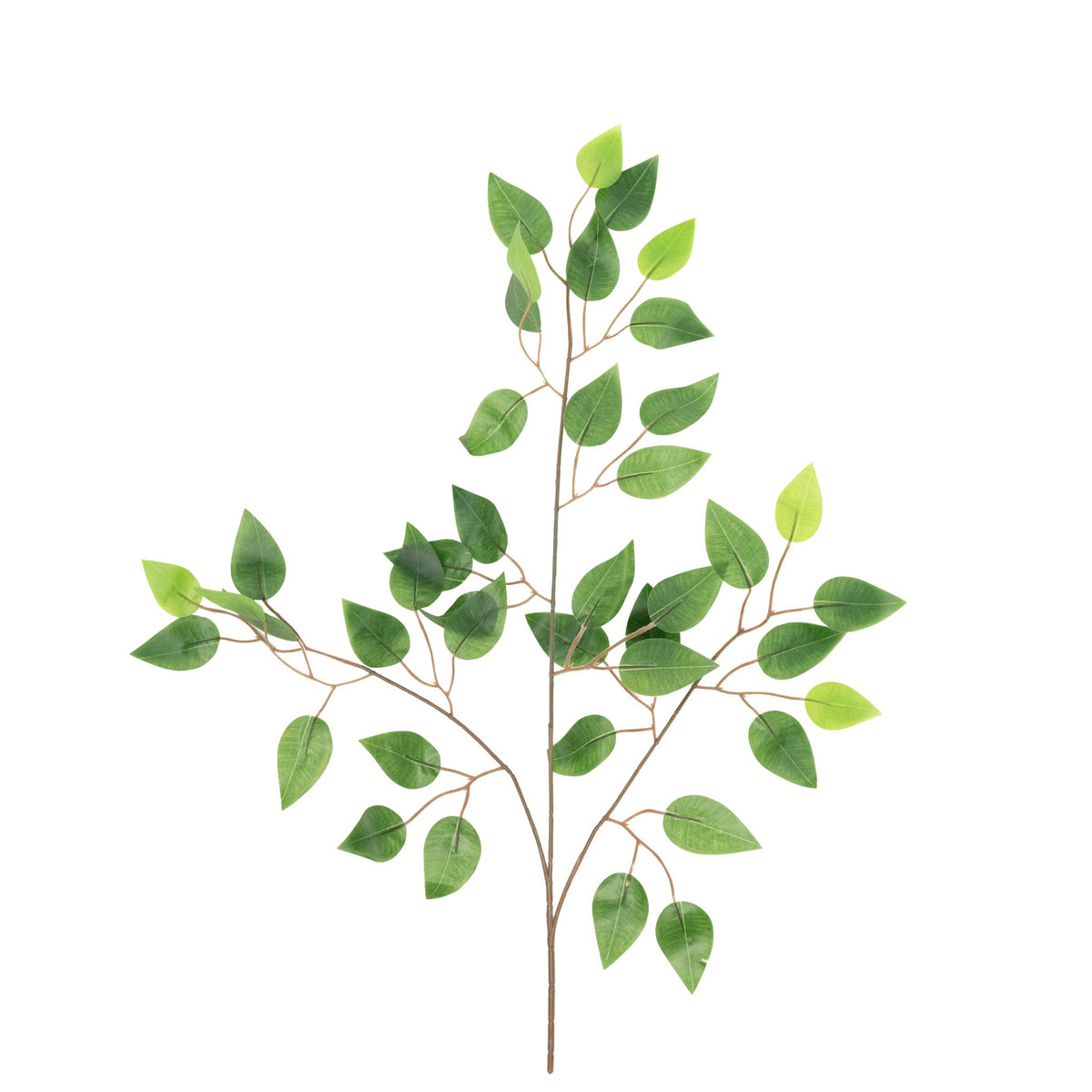 Ficus Branch with Leaves x12 Stem - 62cm
