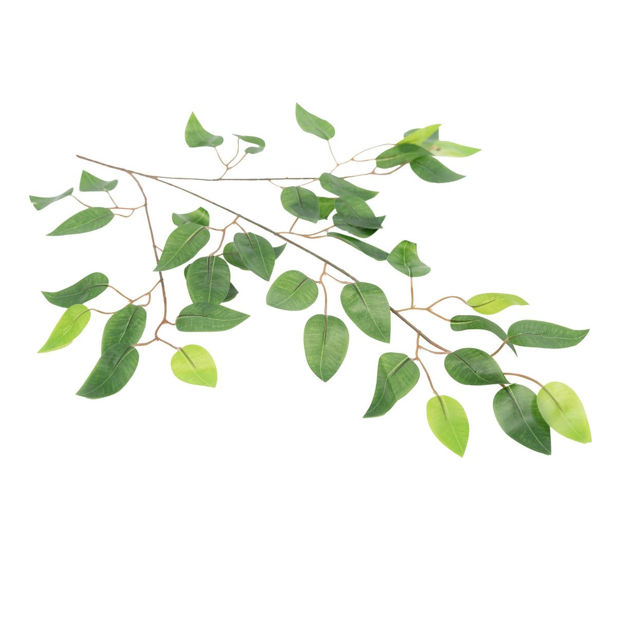 Ficus Branch with Leaves x12 Stem - 62cm