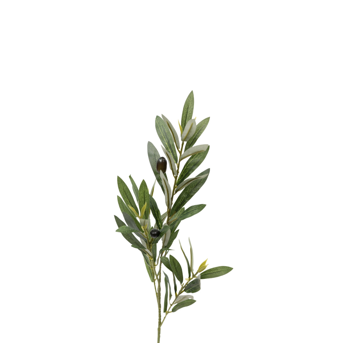 Olive Branch with Fruit - 50cm